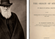 Are You Imprisoned by Darwin?